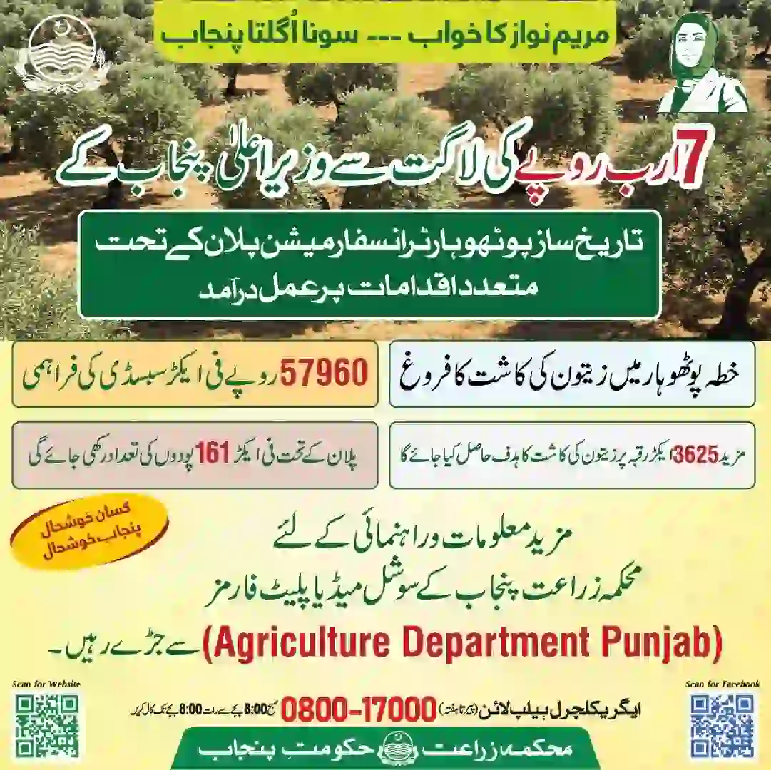 Punjab Olive Farming Subsidy
