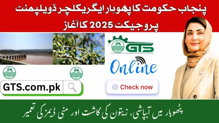 Pothohar Agriculture Development Project 2025 – Irrigation, Olives & Mini Dams 4 Pothohar Agriculture Development Project