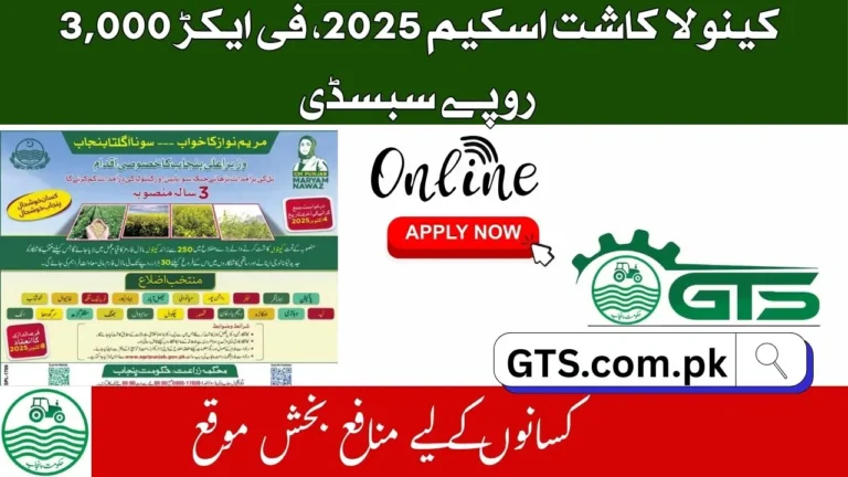 Punjab Canola Cultivation Scheme 2025 – Apply Online for Subsidy & Farmer Support 4 Punjab Canola Cultivation Scheme 2025