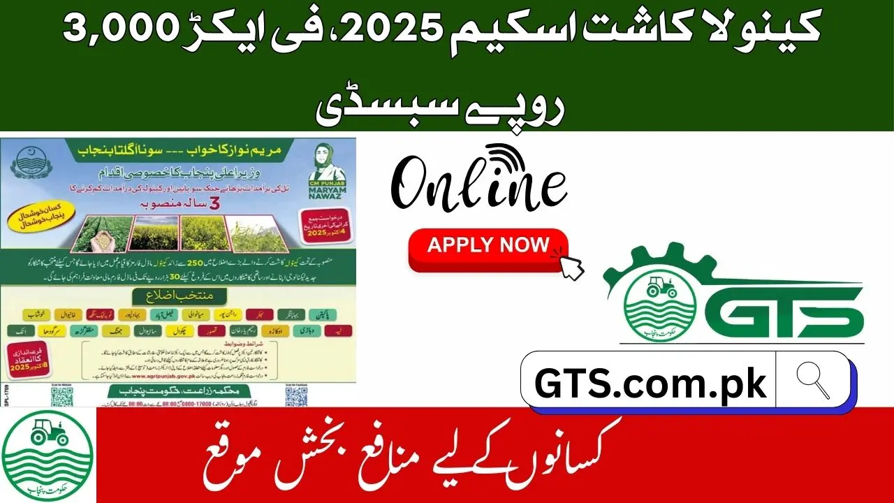 Punjab Canola Cultivation Scheme 2025 – Apply Online for Subsidy & Farmer Support 1 Punjab Canola Cultivation Scheme 2025