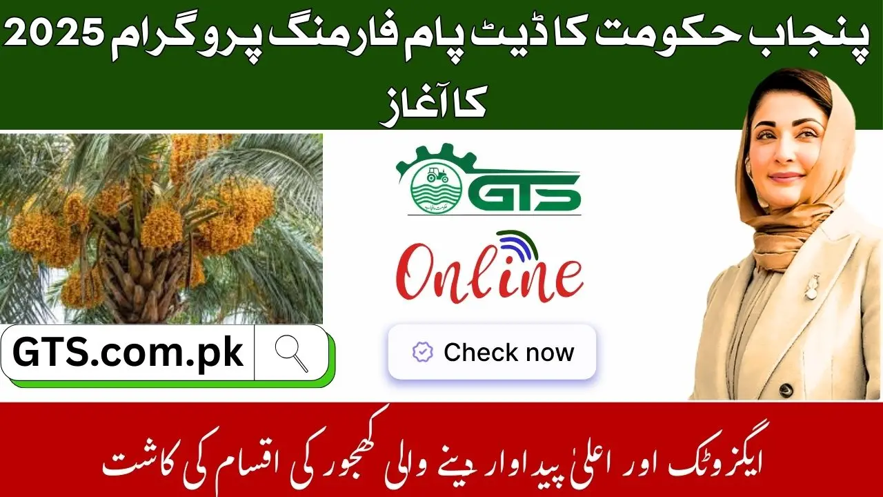 Punjab Date Palm Farming Program 2025 – Exotic Varieties & R&D Support 1 Punjab Date Palm Farming Program 2025