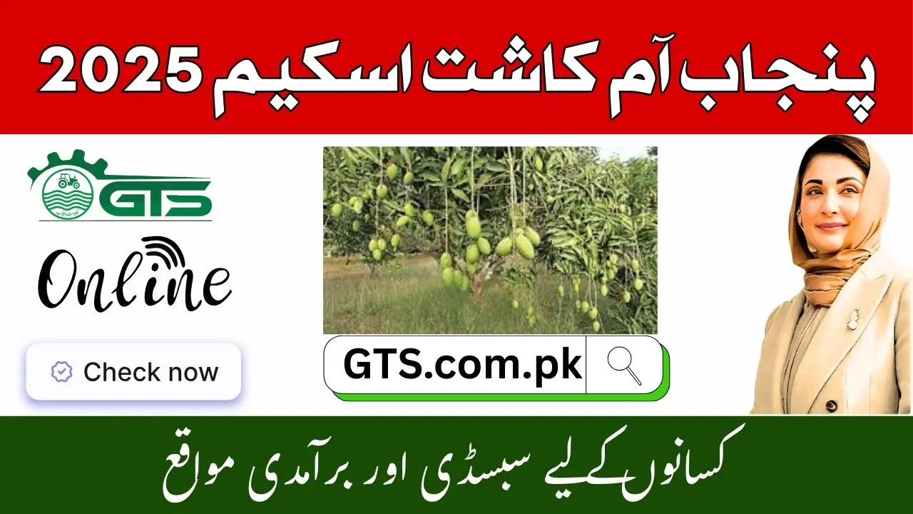 Punjab Mango Farming Scheme 2025