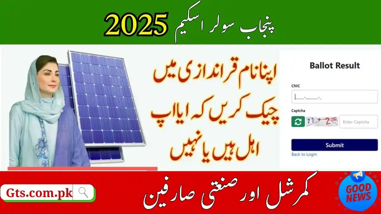 Punjab Solar Scheme 2025 Ineligible Consumers – Who Cannot Apply 1 Punjab Solar Scheme 2025 Ineligible Consumers