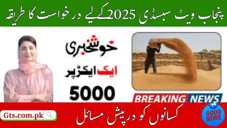 Punjab Wheat Subsidy 2025 Eligibility Criteria for Owners & Tenants 9 Punjab Wheat Subsidy 2025 Eligibility