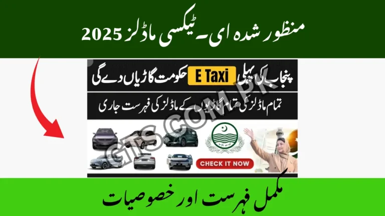 Approved E-Taxi Models 2025 – Full List & Specs 5 Approved E-Taxi Models 2025