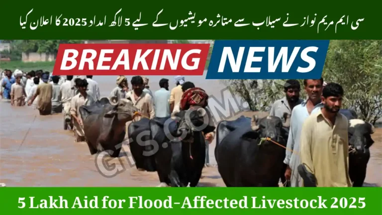 CM Maryam Nawaz Announces 5 Lakh Aid for Flood-Affected Livestock 2025 2 CM Maryam Nawaz Announces 5 Lakh Aid for Flood-Affected Livestock 2025