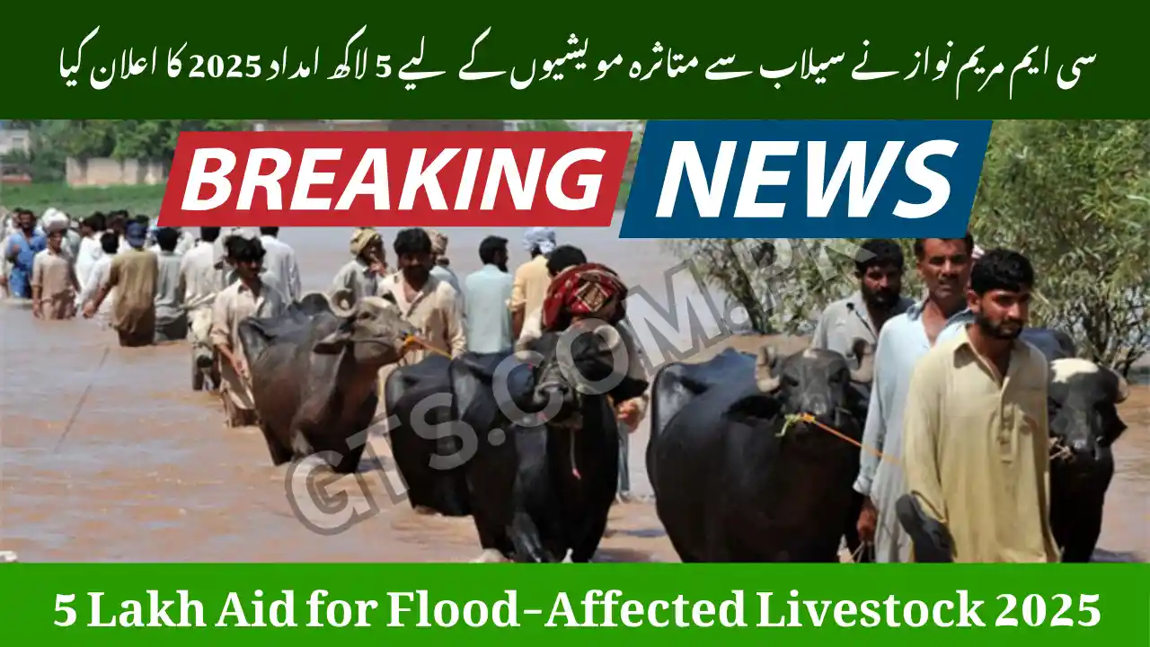 CM Maryam Nawaz Announces 5 Lakh Aid for Flood-Affected Livestock 2025