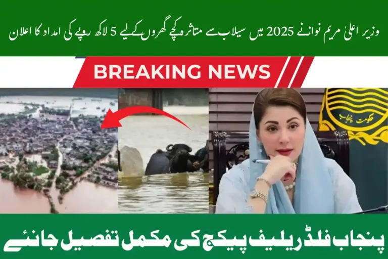 CM Maryam Nawaz Announces 5 Lakh Aid for Mud Houses Affected by Floods 2025 3 CM Maryam Nawaz Announces 5 Lakh Aid for Mud Houses Affected by Floods 2025