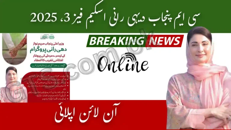 CM Punjab Dehi Rani Scheme Phase 3 2025 Online Apply 6 CM Punjab Dehi Rani Scheme Phase 3 2025