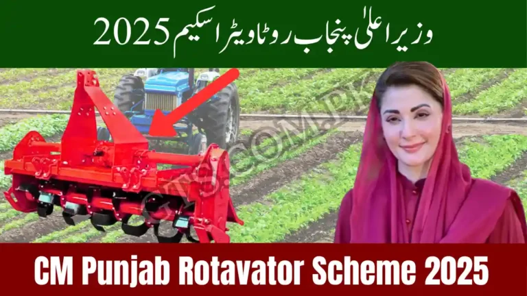 CM Punjab Rotavator Scheme 2025 – Modern Tools for Farmers 7 CM Punjab Rotavator Scheme 2025