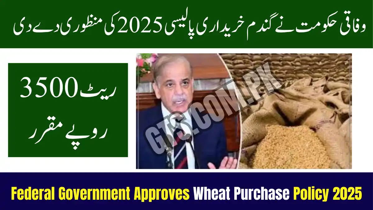 Federal Government Approves Wheat Purchase Policy 2025 – Rs. 3500 Rate Fixed 1 Federal Government Approves Wheat Purchase Policy 2025