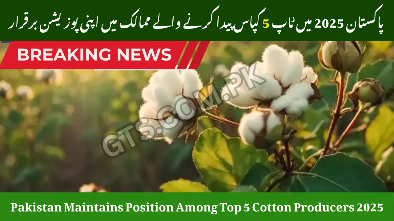 Pakistan Maintains Position Among Top 5 Cotton Producers 2025 1 Pakistan Maintains Position Among Top 5 Cotton Producers 2025