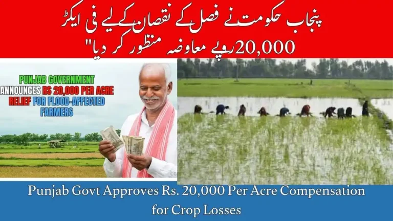 Punjab Govt Approves Rs. 20,000 Per Acre Compensation for Crop Losses – October 2025 Update 4 Punjab Govt Approves Rs. 20,000 Per Acre Compensation for Crop Losses