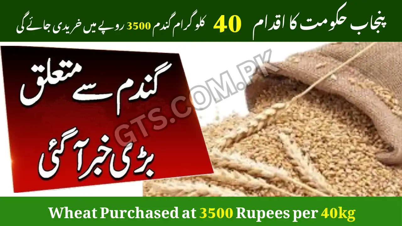 Punjab Govt Initiative Wheat Purchased at 3500 Rupees per 40kg