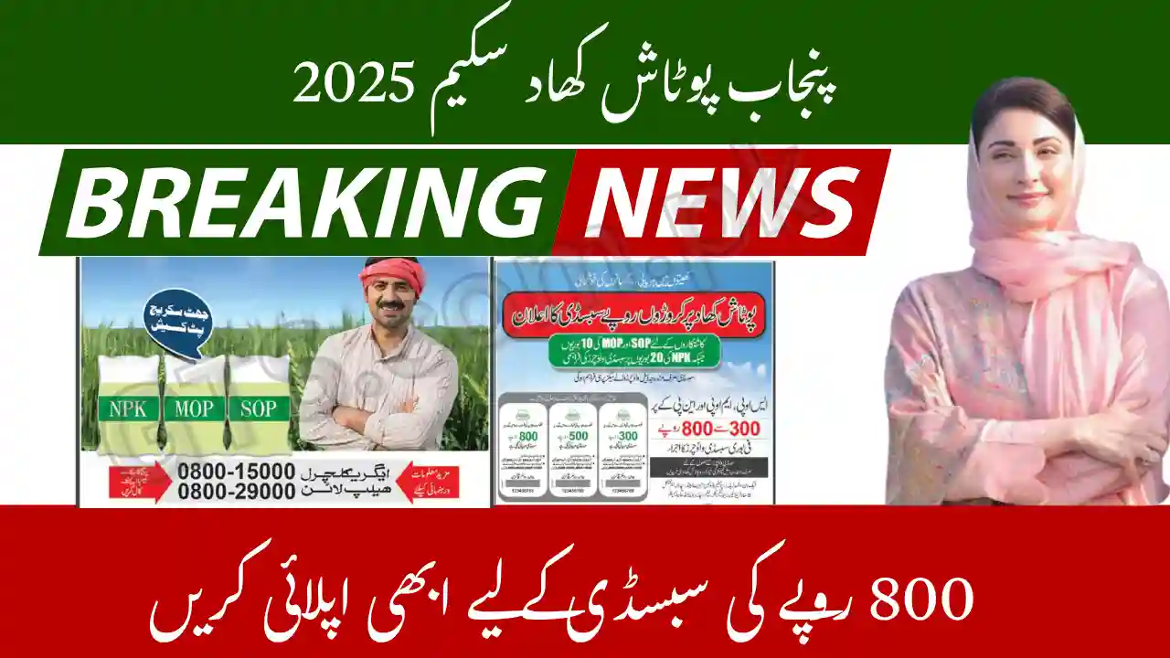 Punjab Potash Fertilizer Scheme 2025– Apply Now for Rs.800 Subsidy 1 Punjab Potash Fertilizer Scheme 2025