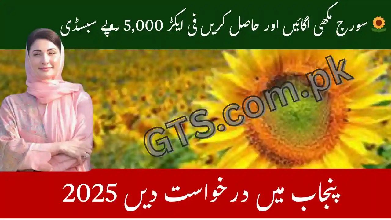 Punjab Sunflower Subsidy Scheme 2025 β Farmers Get Rs.5,000 PerΒ AcreΒ Support 1 Punjab Sunflower Subsidy Scheme 2025