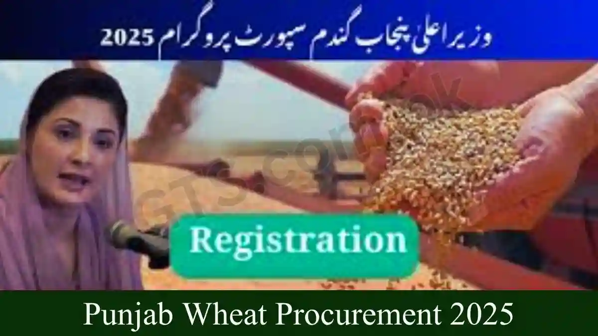 Punjab Wheat Procurement 2025 Farmer Payment & Online Tracking 1 Punjab Wheat Procurement 2025