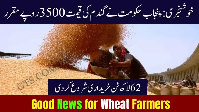 Good News for Wheat Farmers β Punjab Govt Sets Rs.3,500 Rate and Begins Buying 6.2 Million Tons 10 Good News for Wheat Farmers