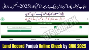 Land Record Punjab Online Check by CNIC 2025 – Full Guide 6 Land Record Punjab Online Check by CNIC 2025