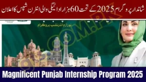 Magnificent Punjab Internship Program 2025