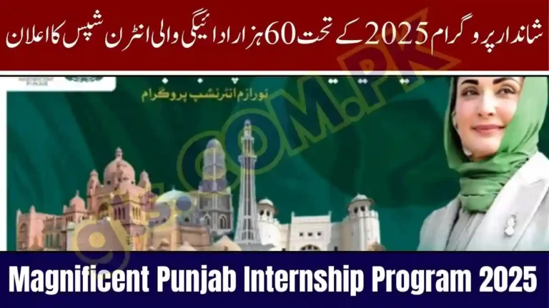 Maryam Nawaz Announces Magnificent Punjab Internship Program 2025 Apply Now at mpip.punjab.gov.pk 3 Magnificent Punjab Internship Program 2025