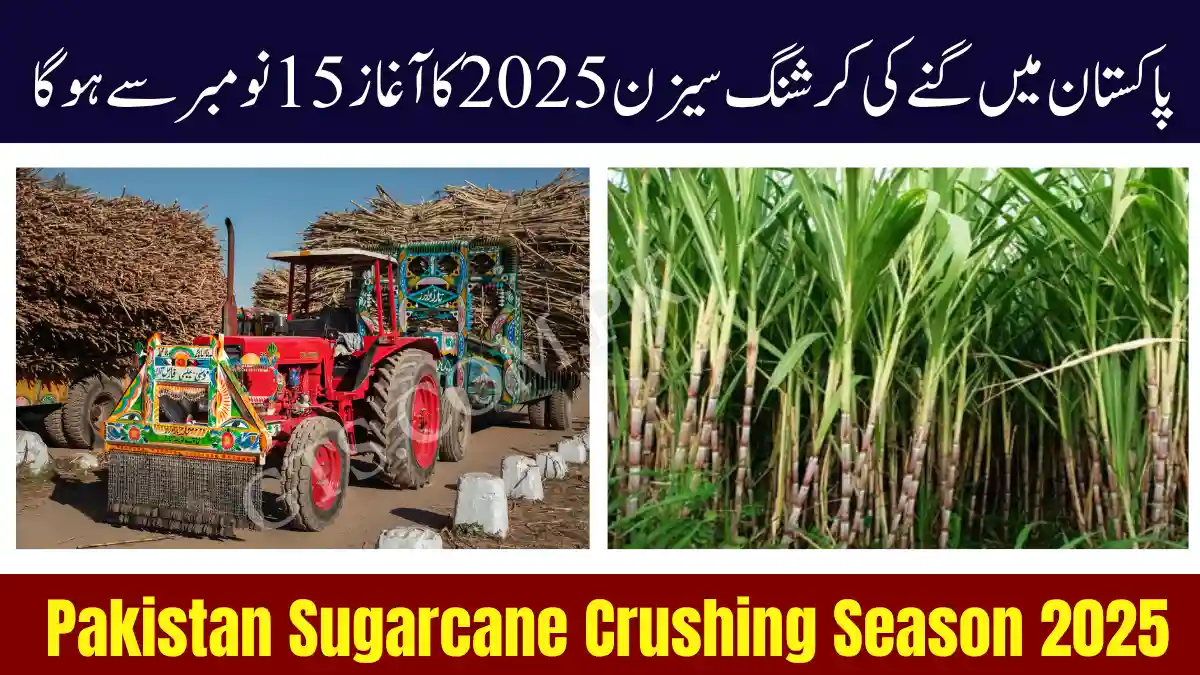 Pakistan Sugarcane Crushing Season 2025