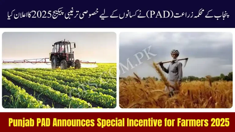 Punjab PAD Announces Special Incentive for Farmers 2025 7 Punjab PAD Announces Special Incentive for Farmers 2025