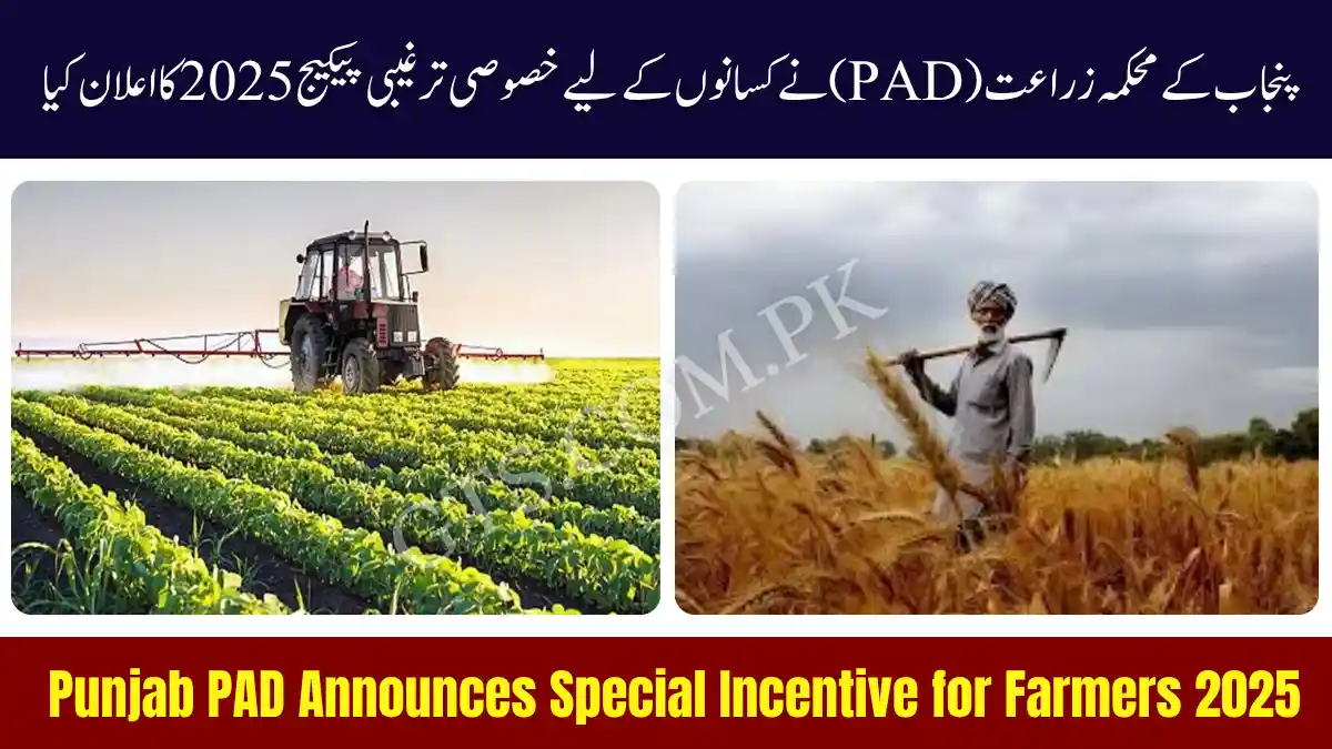 Punjab PAD Announces Special Incentive for Farmers 2025 1 Punjab PAD Announces Special Incentive for Farmers 2025
