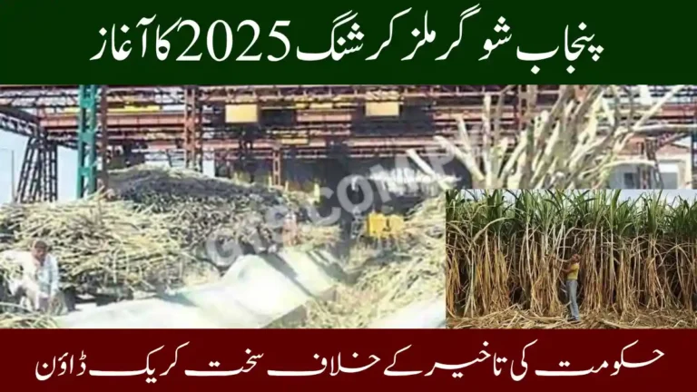 Punjab Sugar Mills Crushing 2025 Begins as Govt Cracks Down on Delays 6 Punjab Sugar Mills Crushing 2025