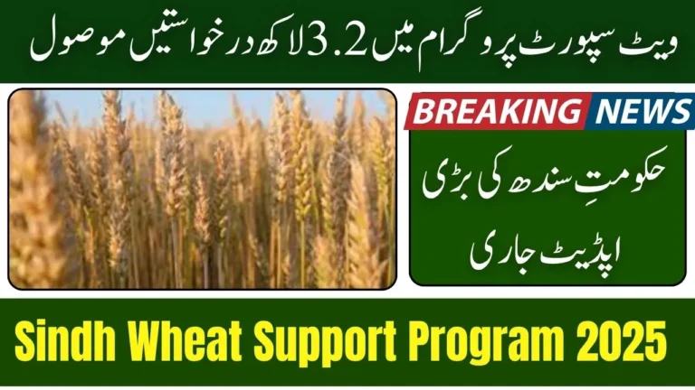 Sindh Wheat Support Program Receives 320,000 Farmer Applications
