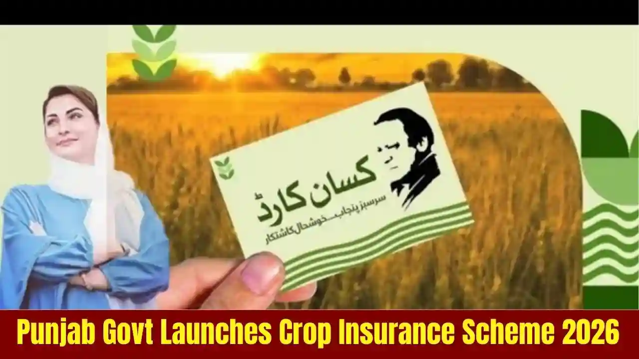 Punjab Govt Launches Crop Insurance Scheme 2026 – Online Registration Guide 1 Punjab Govt Launches Crop Insurance Scheme 2026