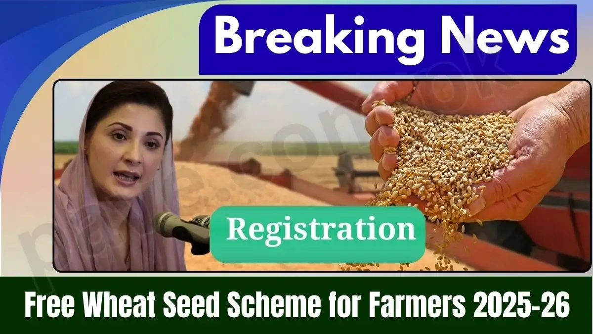 Maryam Nawaz Announces Wheat Seed Subsidy Program for Punjab Farmers 1 CM Punjab Announces Wheat Seed Subsidy Program for Farmers